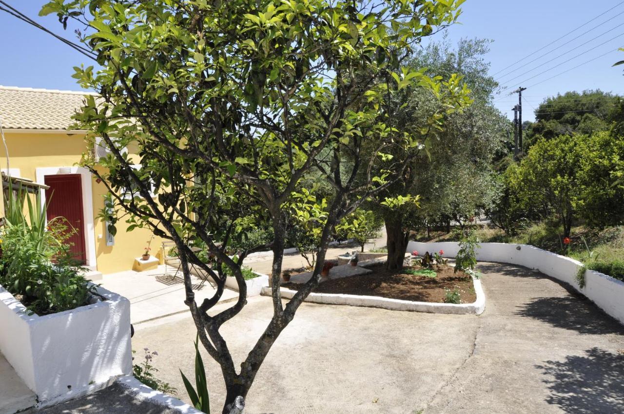 Braziliana Apartments Dassia  Exterior foto